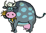 vache