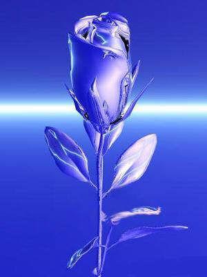 fleur