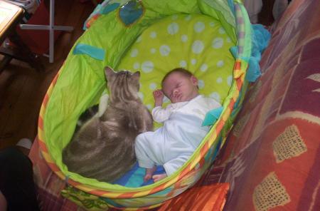 mon chat et mon filleul