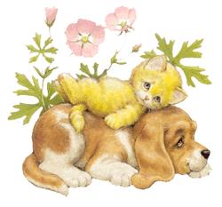 chat et chien