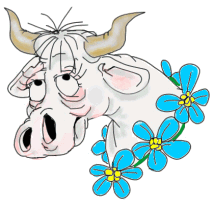 vache