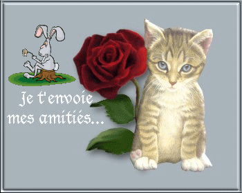 pour mes amies