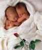 bebes