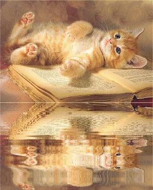 chat