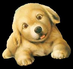 chien