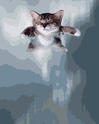 chat