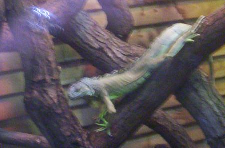 nausica 2006