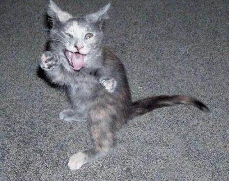 quelle belle grimace