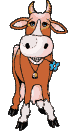vache