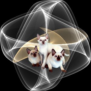 chat
