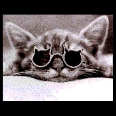 c'est qu'il protege ses yeux le minou!