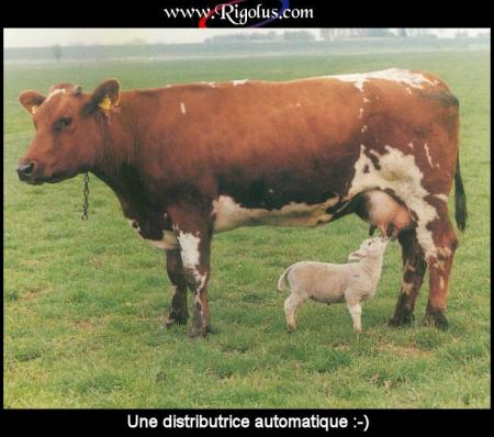 servez vous