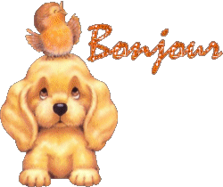 texte (creation personnelle)