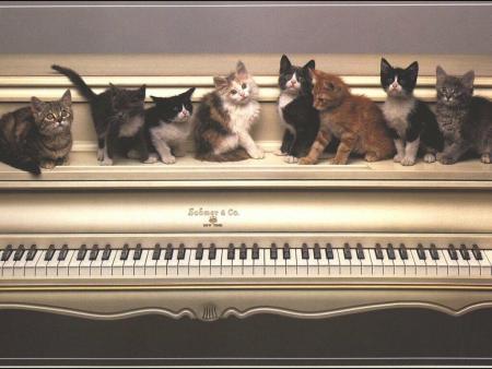 un peu de musique?
