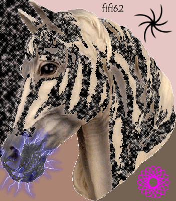 creation cheval